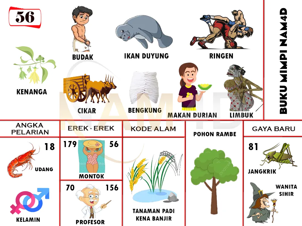 buku mimpi erek erek togel 56